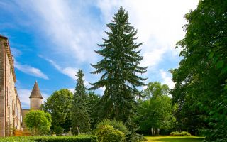 Hôtel Piscine Bourgogne